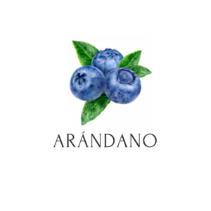 ARÁNDANO